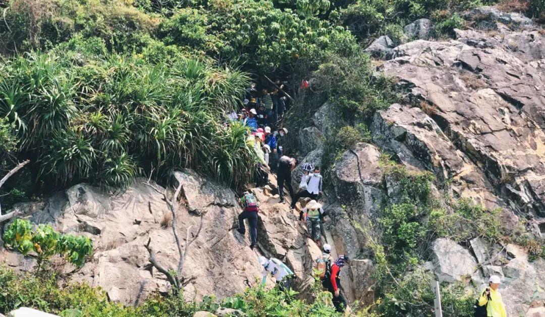 深圳徒步绿道路线推荐半天_深圳徒步绿道路线推荐_深圳绿道攻略