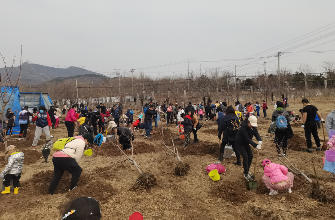 绿野仙踪活动什么时候结束_绿野仙踪主题活动_绿野仙踪活动