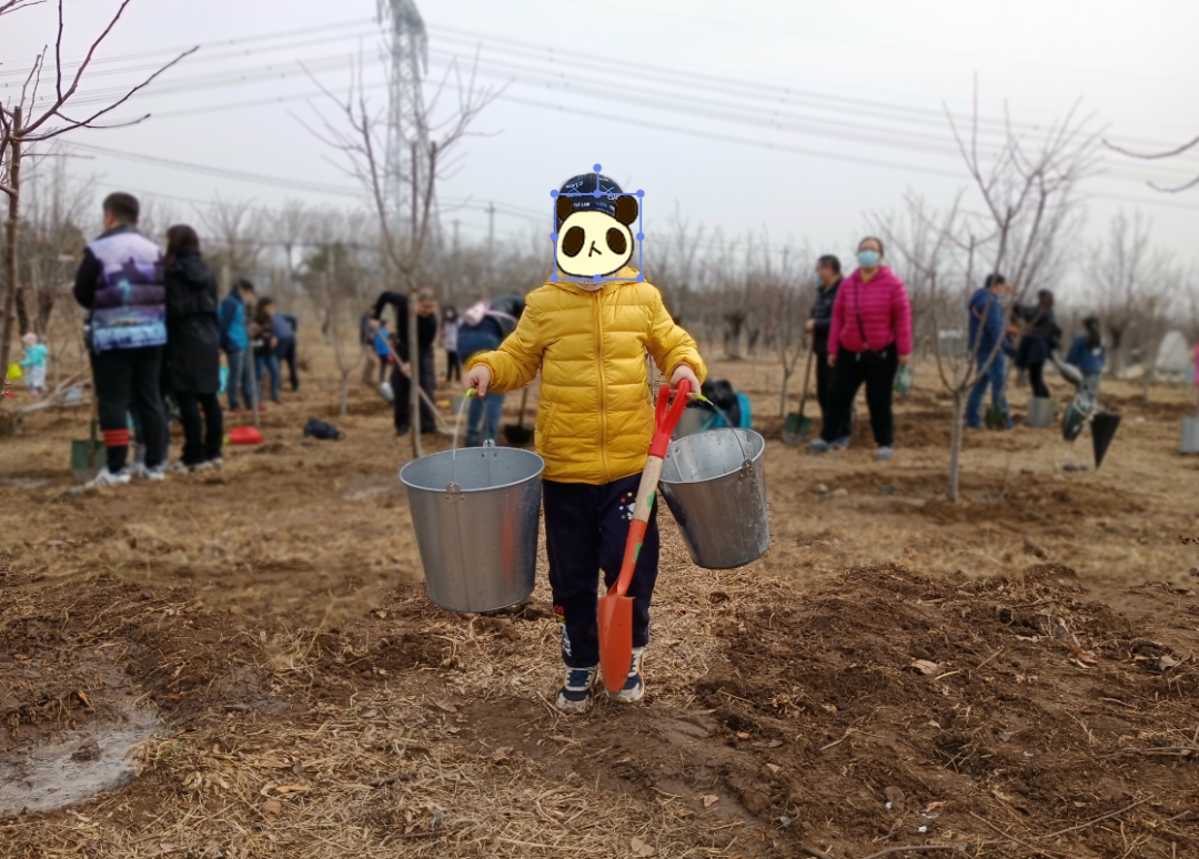 绿野仙踪活动什么时候结束_绿野仙踪主题活动_绿野仙踪活动