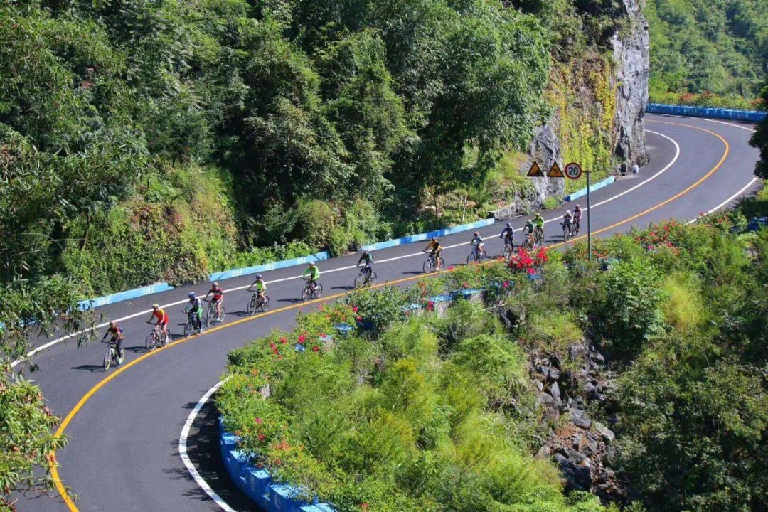 自行车巡回赛阶段_女子公路自行车巡回赛_公路女子自行车冠军