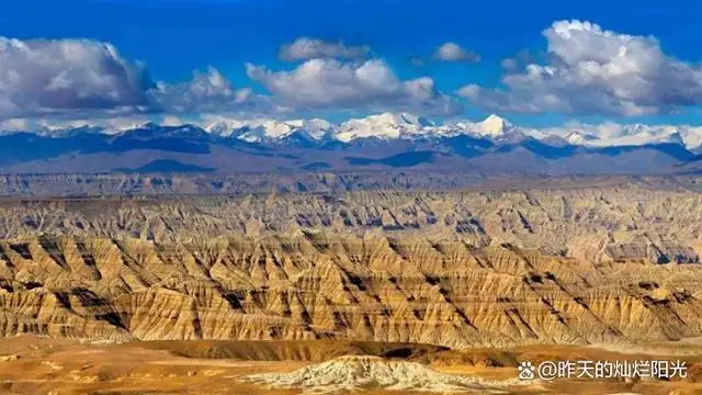 阿里北线大地之树_阿里北线大巴电话_阿里大北线多少公里