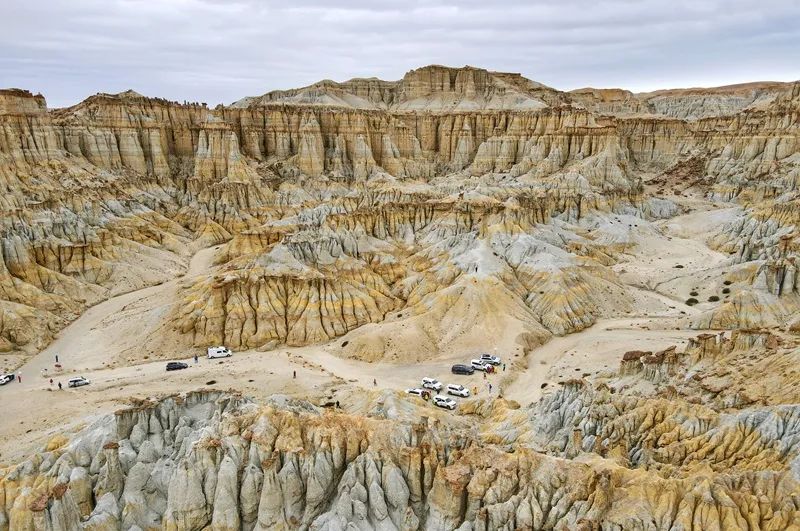 阿里大北线多少公里_阿里北线大巴电话_阿里北线大地之树