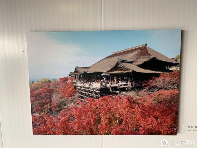 关西机场到京都大巴_关西机场到京都站_京都到大阪关西机场乘车方案