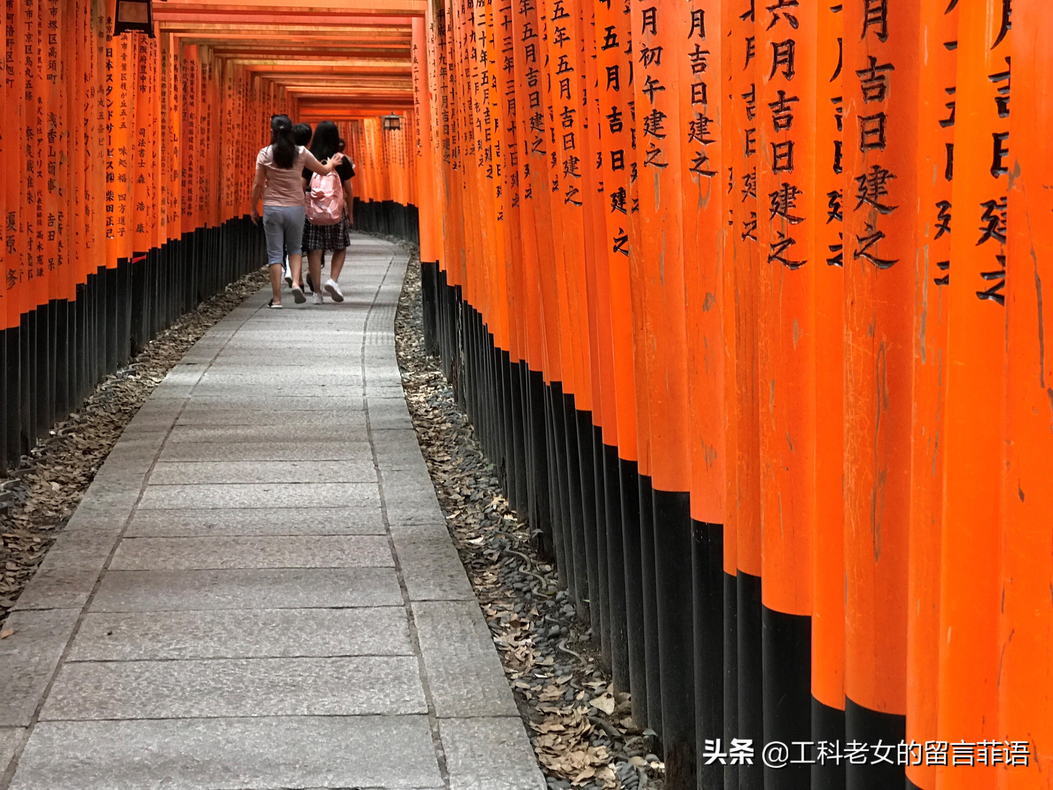 关西机场打车到京都多少钱_关西机场到京都站_关西机场到京都大学