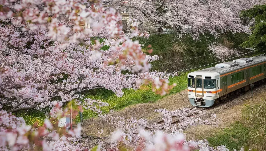 关西机场到京都站_关西机场到京都大巴_关西国际机场到京都