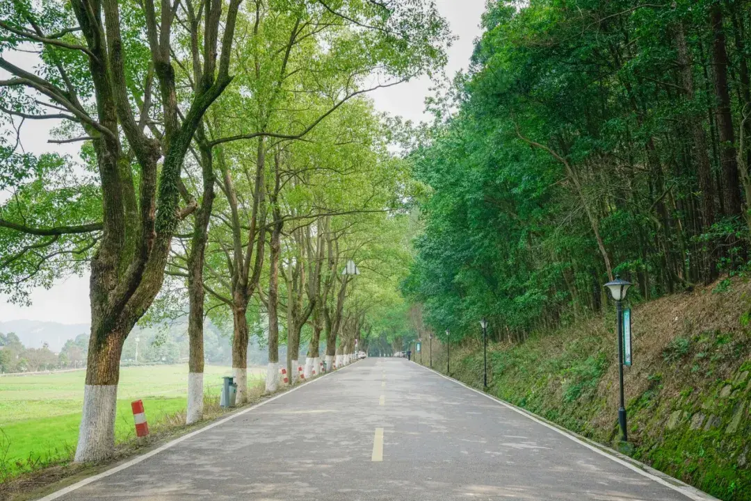 深圳徒步线路汇总_10条深圳徒步路线推荐_深圳徒步旅行线路