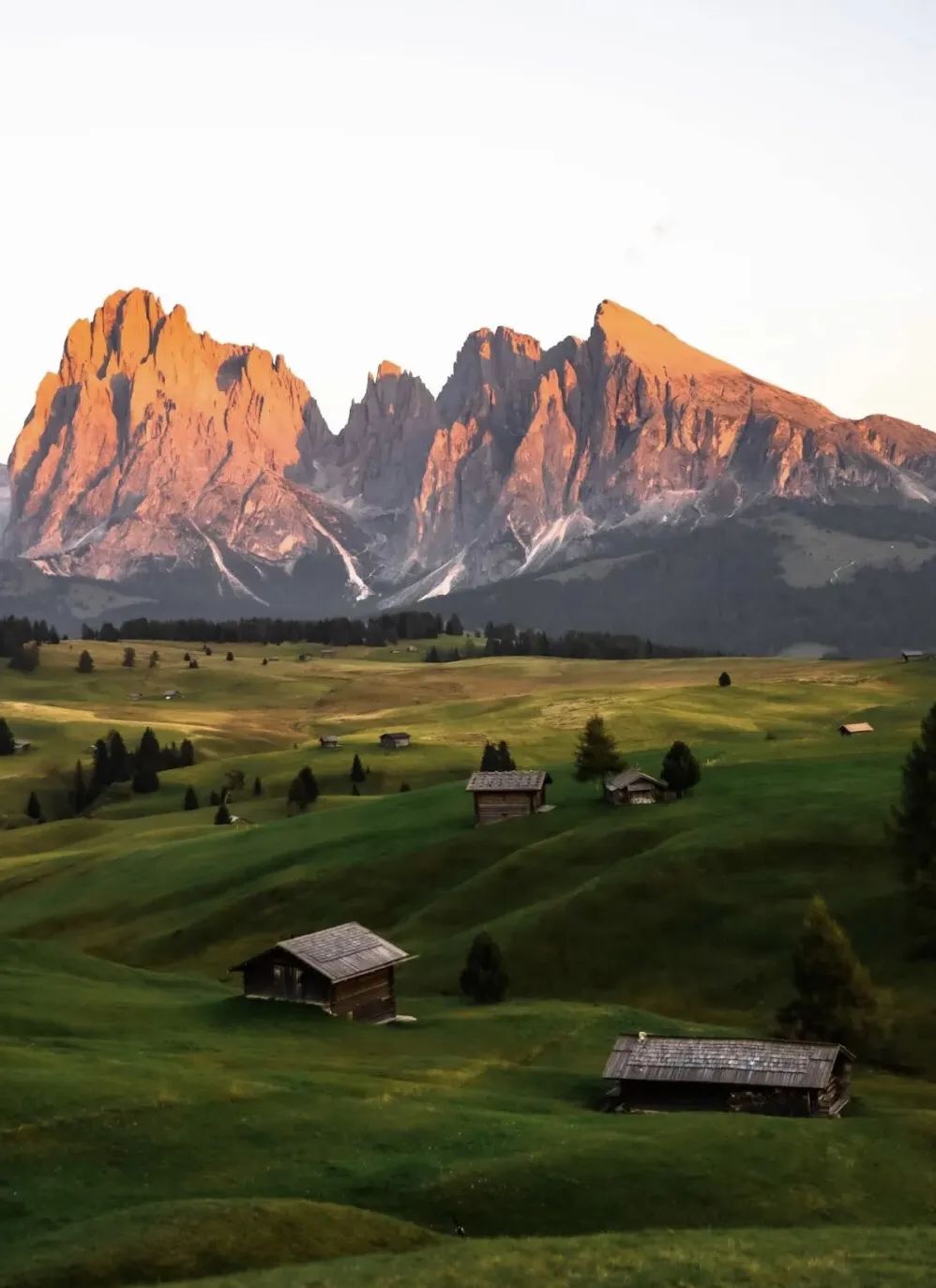 Treeline Expedition｜意大利多洛米蒂Dolomiti