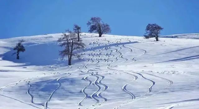 滑雪论坛都有哪些_滑雪首页_滑雪圈子乱吗