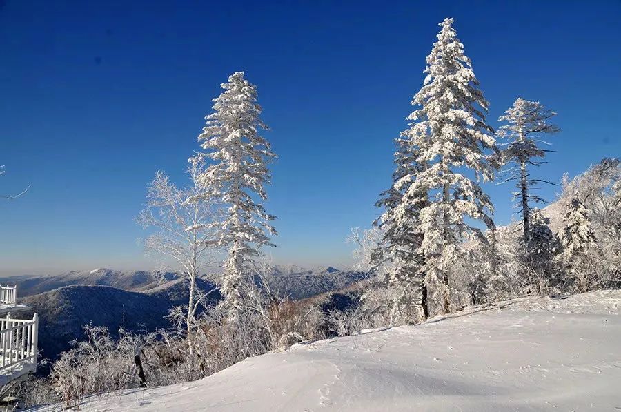 滑雪圈子乱吗_滑雪论坛都有哪些_滑雪首页