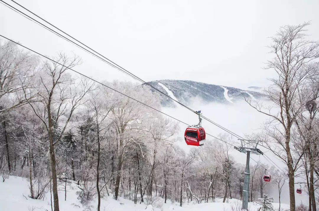 滑雪圈子乱吗_滑雪首页_滑雪论坛都有哪些