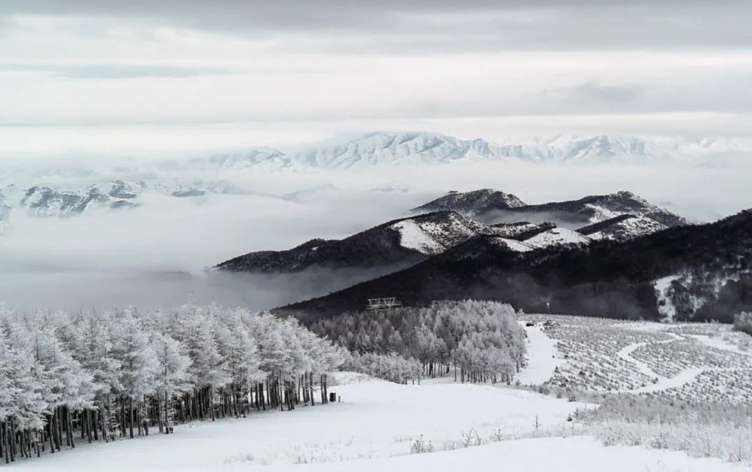 滑雪论坛都有哪些_滑雪圈子乱吗_滑雪首页