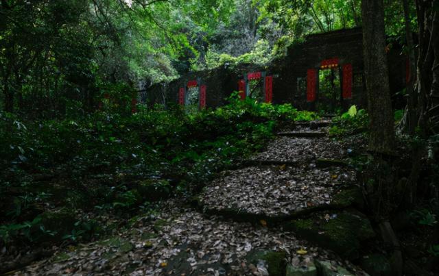 登山者爱好鬼是什么电影_八个登山爱好者谁是鬼_登山者爱好鬼是哪一集