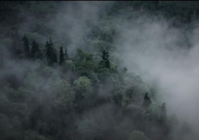 登山者爱好鬼是什么电影_八个登山爱好者谁是鬼_登山者爱好鬼是哪一集