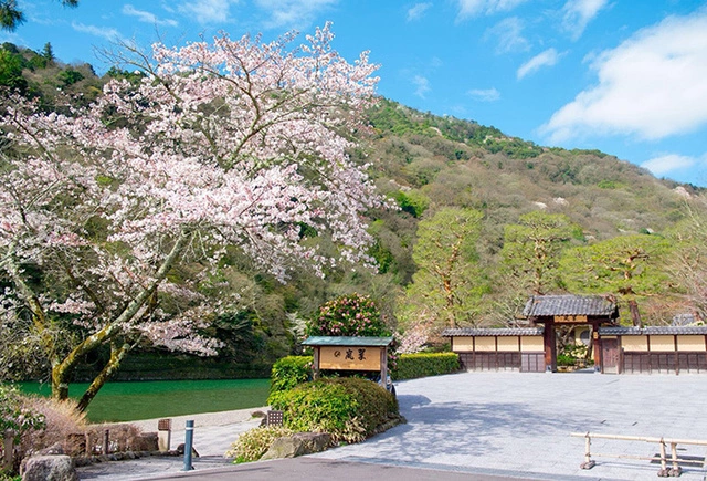 北京皇家京都酒业有限公司地址_京都皇家水疗酒店_皇家京都酒店水疗怎么样