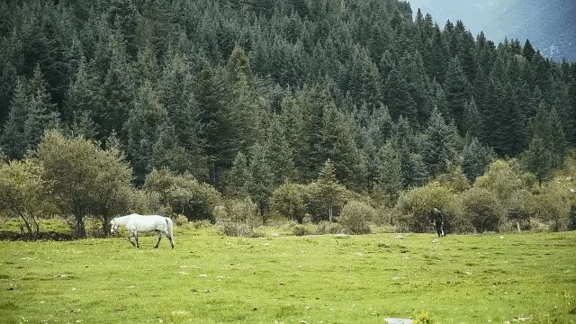 骑行川藏线318路线图_骑行川藏线地图 路线图_骑行路线导航地图