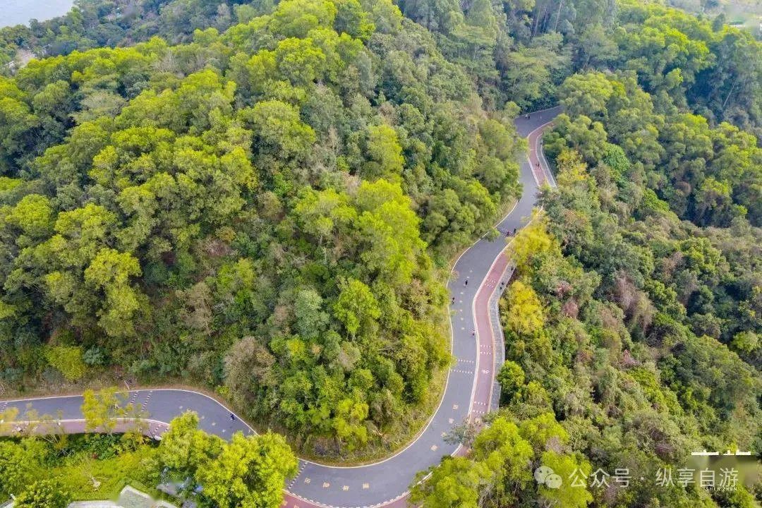 深圳绿道攻略_深圳绿道多少公里_深圳绿道徒步线路查询