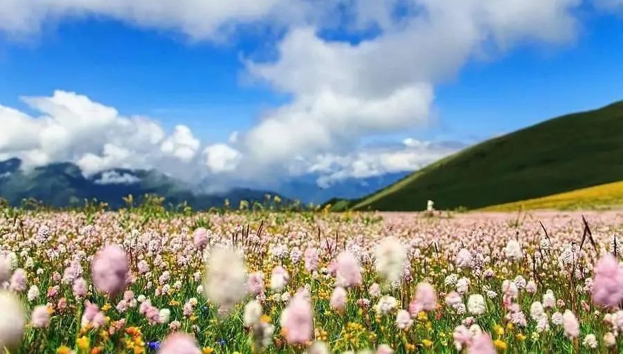 青藏川藏公路纪念碑_青藏和川藏_青藏川藏公路纪念碑简介